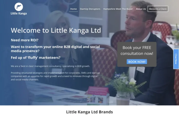 Marketing & Advertising Website Design for Little Kanga in Portsmouth, Hampshire