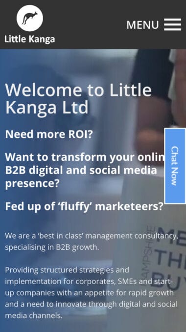 Little Kanga Mobile Preview