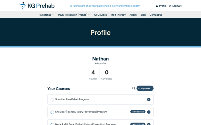 kgprehab desktop screenshot 2