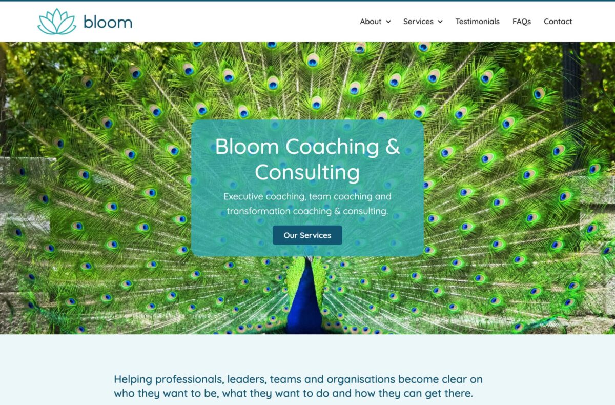 Bloom Desktop 1