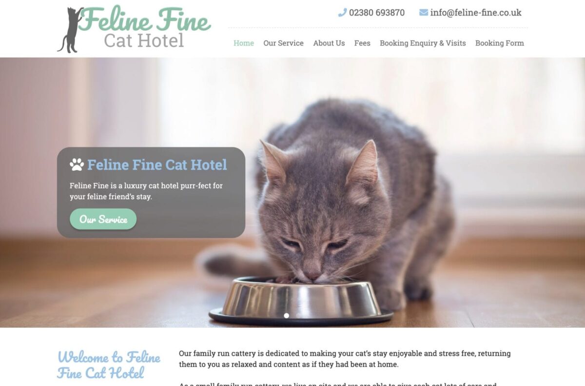 Feline Fine Desktop