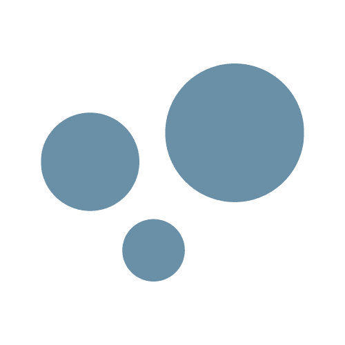 Learner Bubble Logo