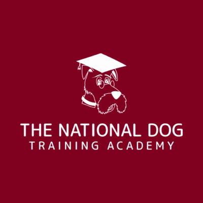 Ndta Logo