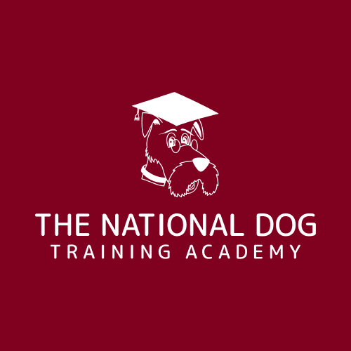 Ndta Logo