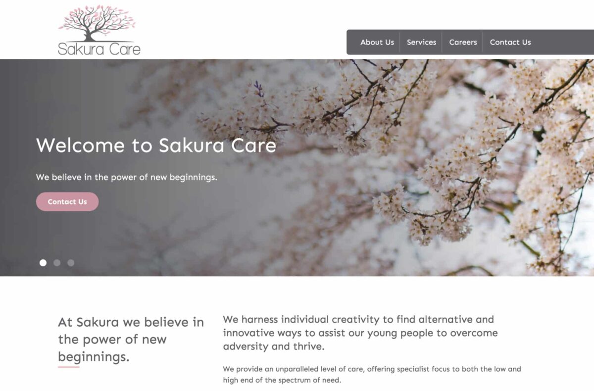 Sakura Care Desktop 1