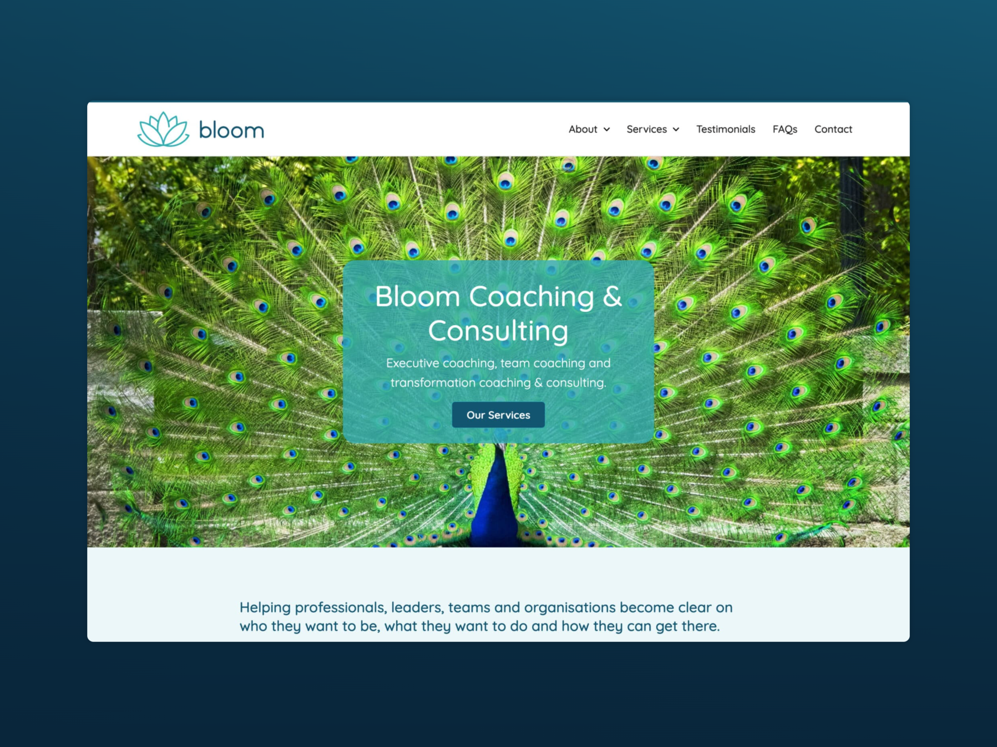 bloom coaching consulting featured