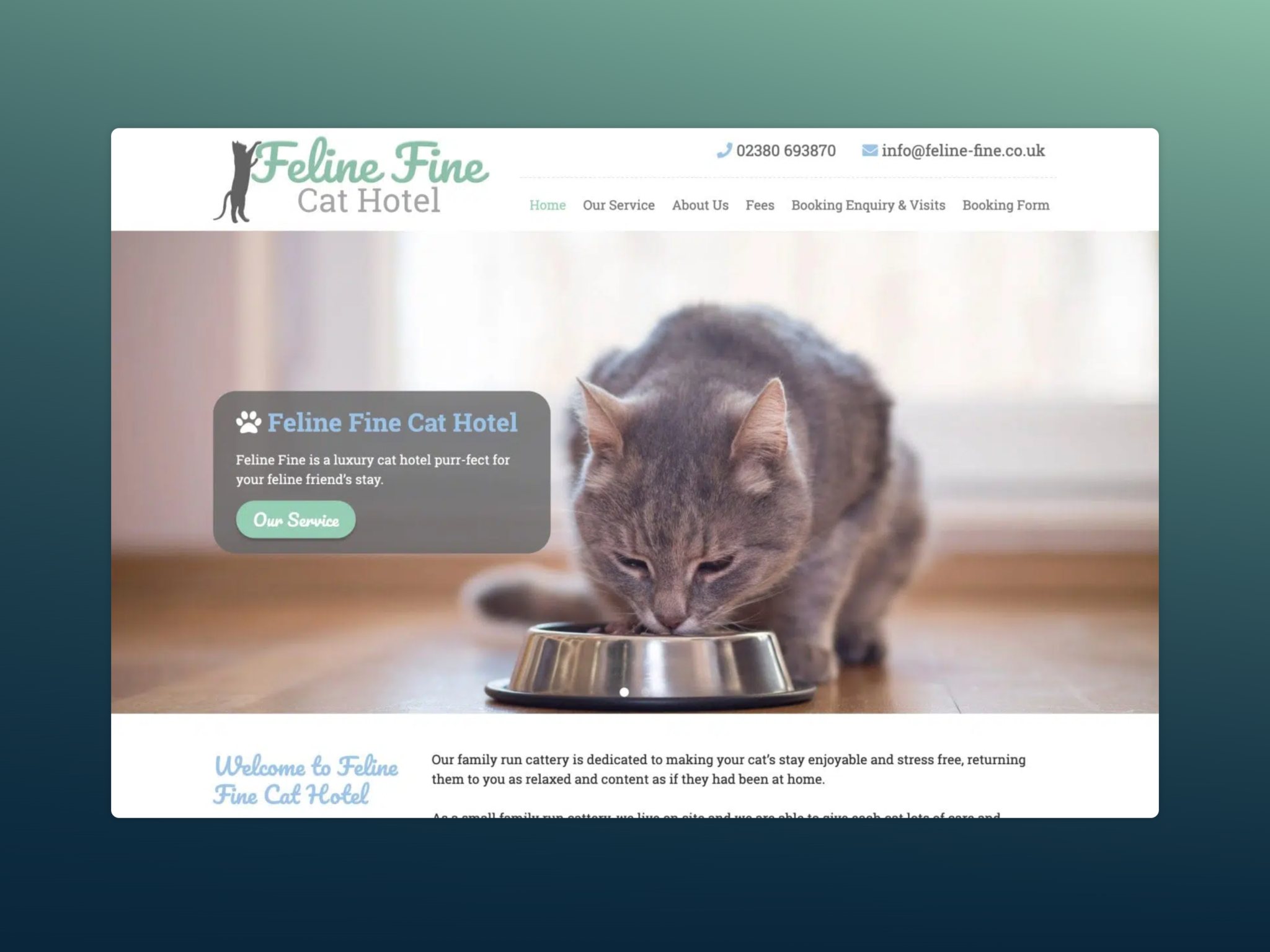 feline fine cat hotel featured