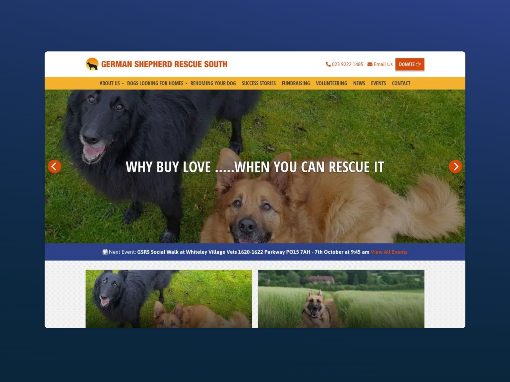 german shepherd rescue south featured