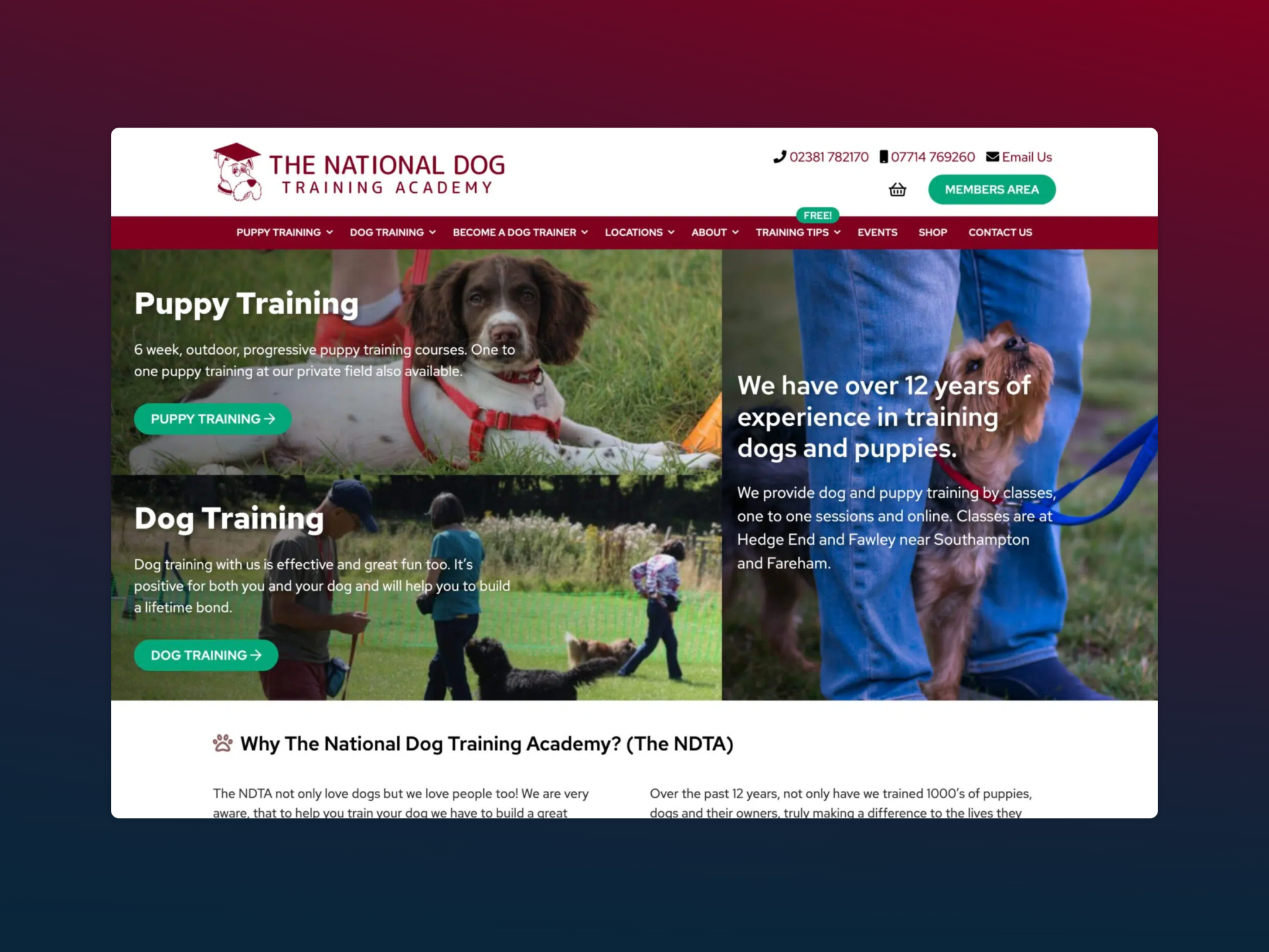 the national dog training academy featured